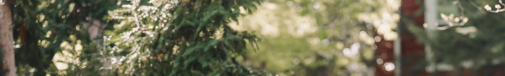 Andrea Viehmann Andrea Viehmann