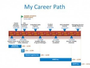Career path